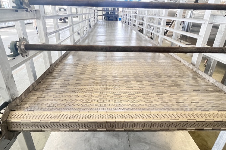 1741338193125851.jpg 3.JPG