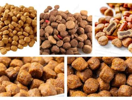 Классификация кормов для собак