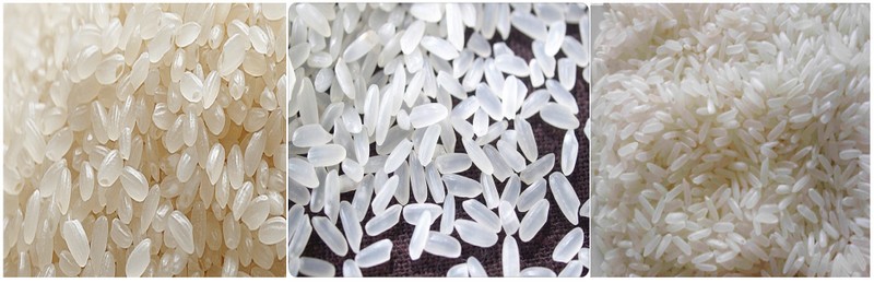 Rice-Machine-7.jpg fortificado